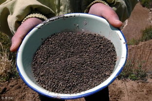 新年大礼 农民常用肥料制作方法,一整年农民再也不用买肥料了